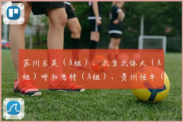 苏州东吴（A组）、北京北体大（A组）呼和浩特（A组）、贵州恒丰（B组）、沈阳城市建设（B组）、江西联盛（B组）、黑龙江FC（C组）、新疆雪豹（C组）、四川九牛（C组）