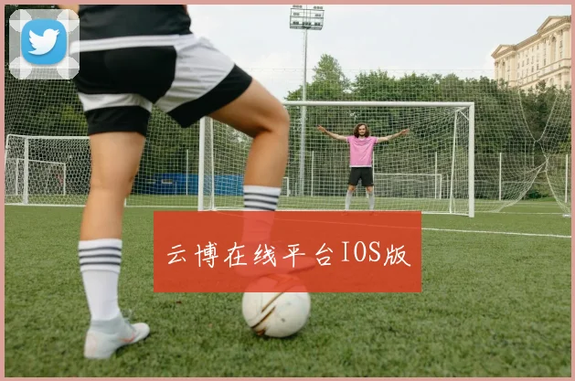 云博在线平台IOS版