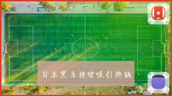 日本黑马持续吸引热钱