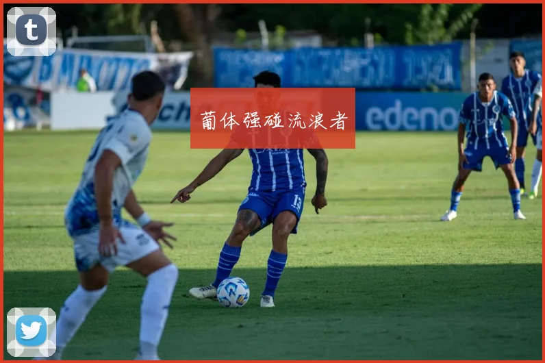 葡体强碰流浪者